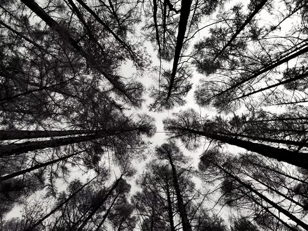 白羊座需要主動(dòng)關(guān)心嗎男生