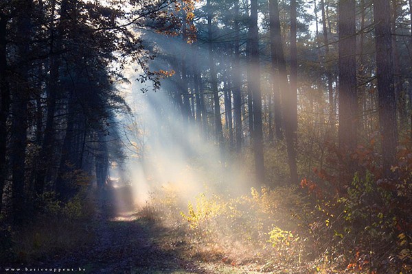 白羊座男生性格溫柔嗎好嗎