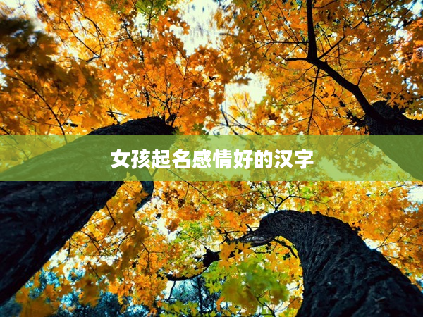 女孩起名感情好的漢字