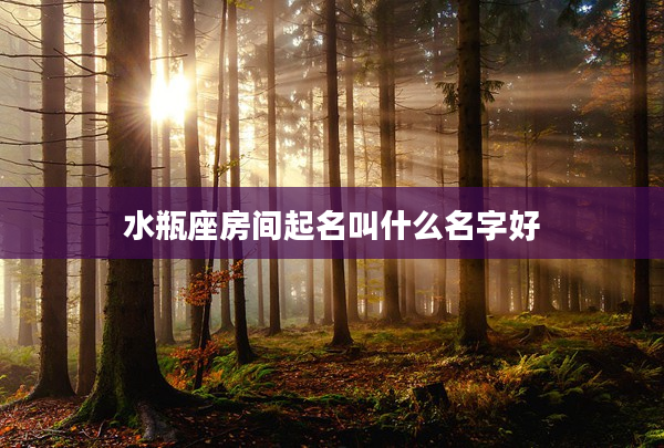 水瓶座房間起名叫什么名字好