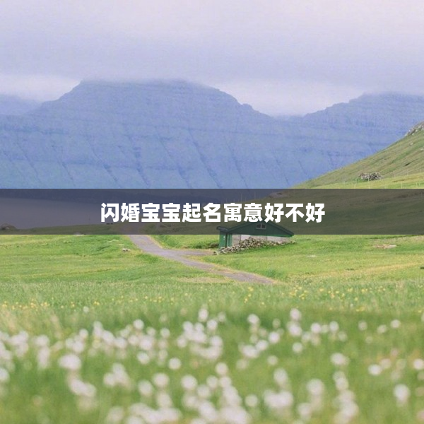 閃婚寶寶起名寓意好不好