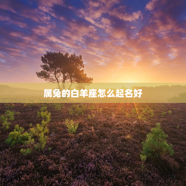 屬兔的白羊座怎么起名好