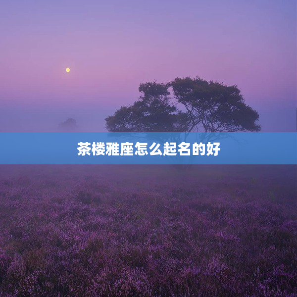 茶樓雅座怎么起名的好