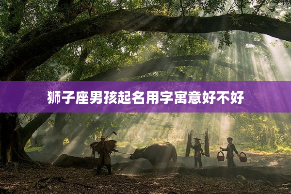 獅子座男孩起名用字寓意好不好