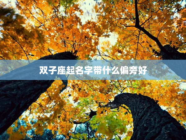 雙子座起名字帶什么偏旁好