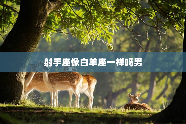 射手座像白羊座一樣嗎男