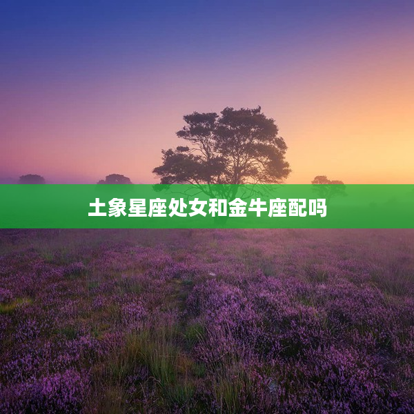 土象星座處女和金牛座配嗎