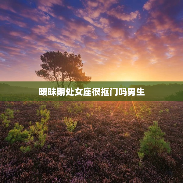 曖昧期處女座很摳門嗎男生