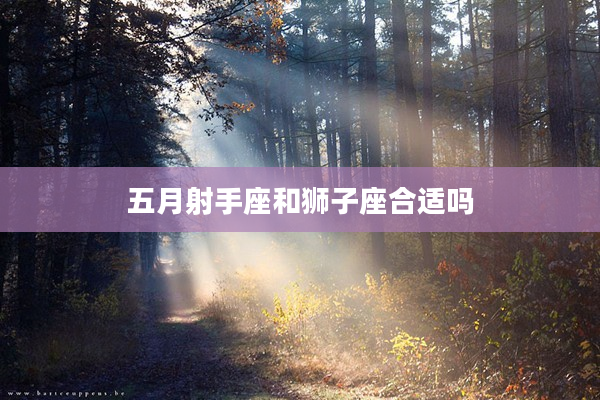 五月射手座和獅子座合適嗎