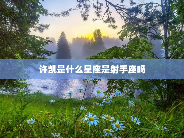 許凱是什么星座是射手座嗎