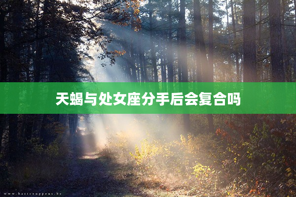 天蝎與處女座分手后會復合嗎