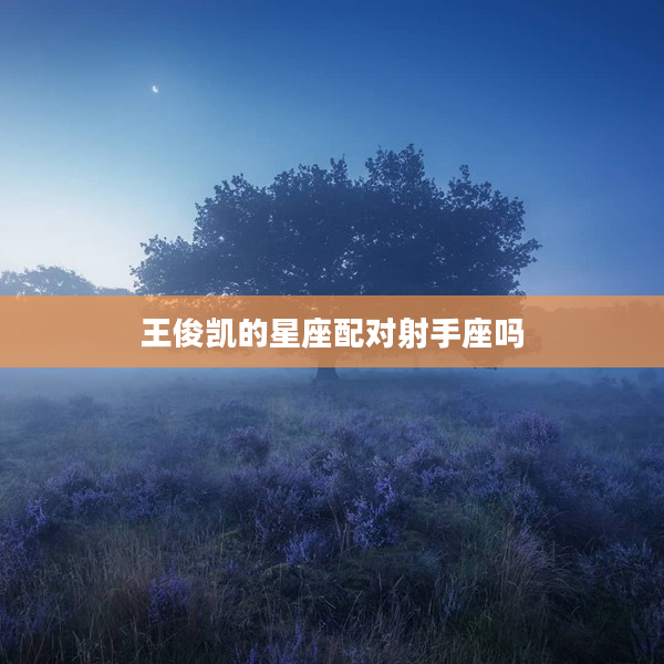 王俊凱的星座配對射手座嗎