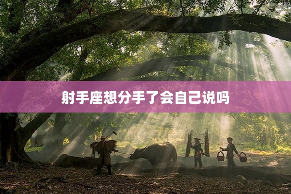 射手座想分手了會自己說嗎