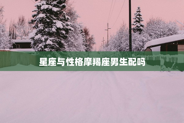 星座與性格摩羯座男生配嗎