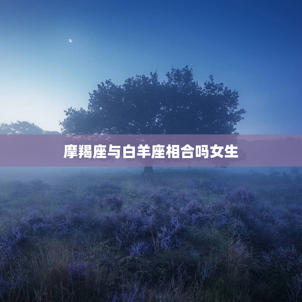 摩羯座與白羊座相合嗎女生