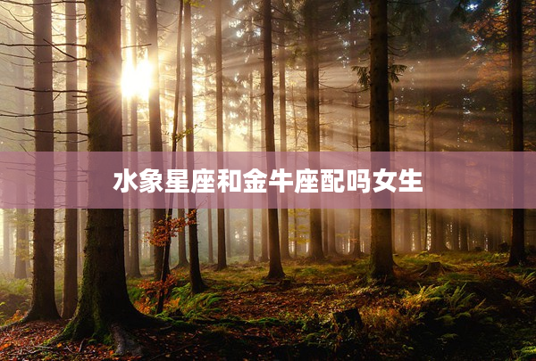 水象星座和金牛座配嗎女生