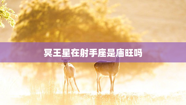 冥王星在射手座是廟旺嗎