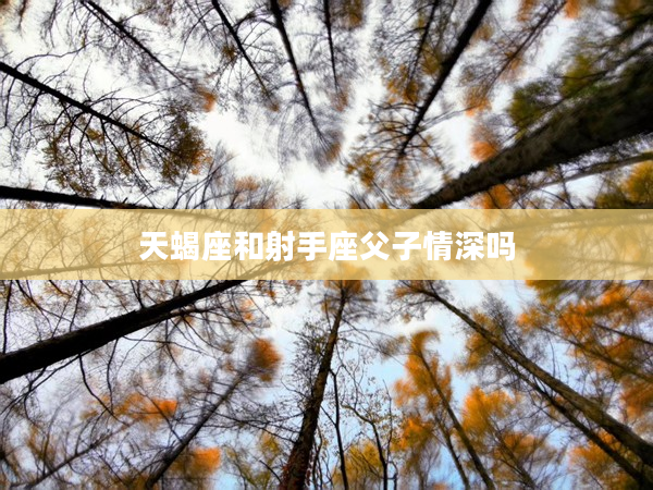 天蝎座和射手座父子情深嗎