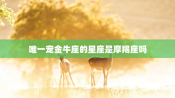 唯一寵金牛座的星座是摩羯座嗎
