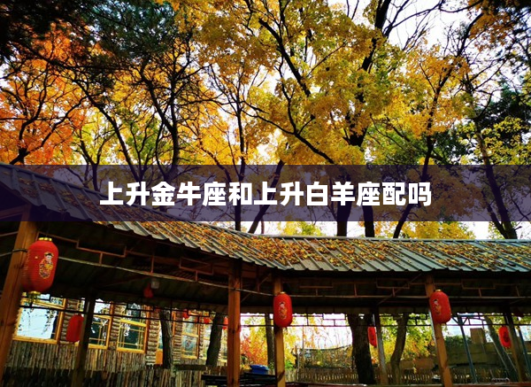 上升金牛座和上升白羊座配嗎