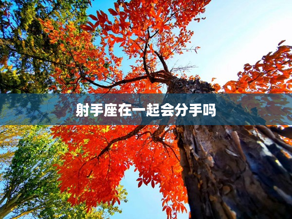 射手座在一起會分手嗎