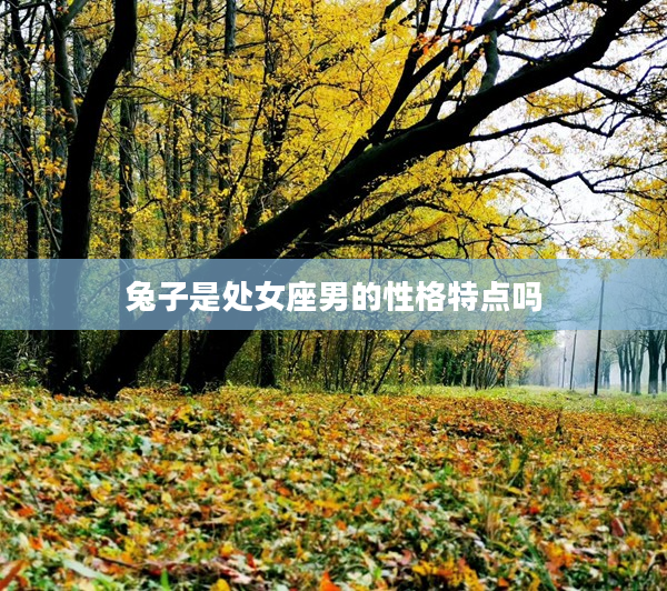 兔子是處女座男的性格特點(diǎn)嗎