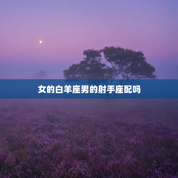 女的白羊座男的射手座配嗎