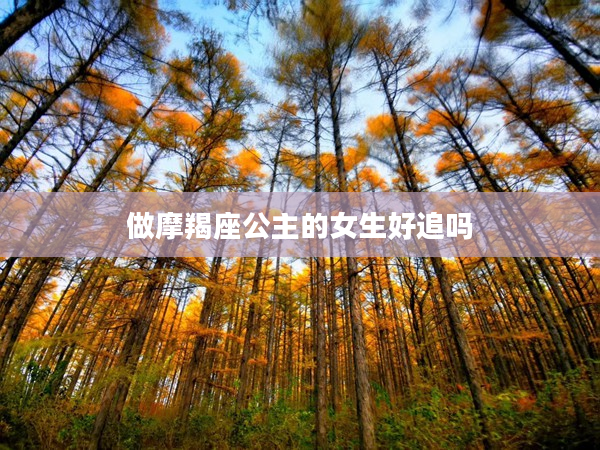 做摩羯座公主的女生好追嗎