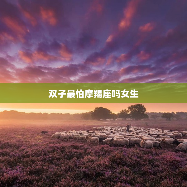 雙子最怕摩羯座嗎女生
